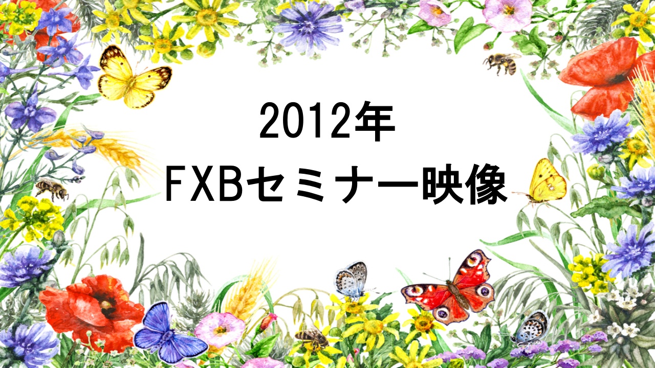 ２０１２年ＦＸＢセミナー　１