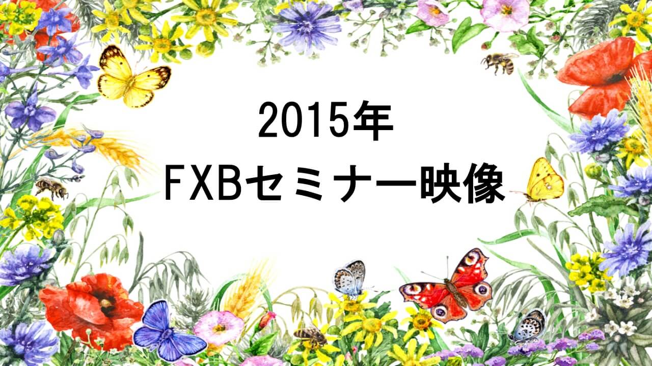 ２０１５年７月ＦＸＢセミナー ７