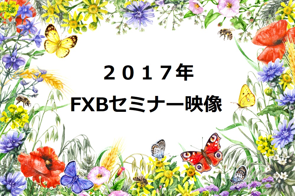 ２０１７年FXBセミナー 10