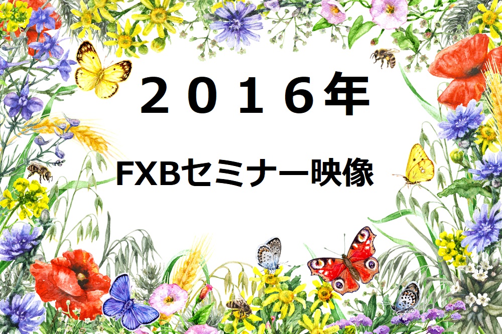 ２０１６年ＦＸＢセミナー ９