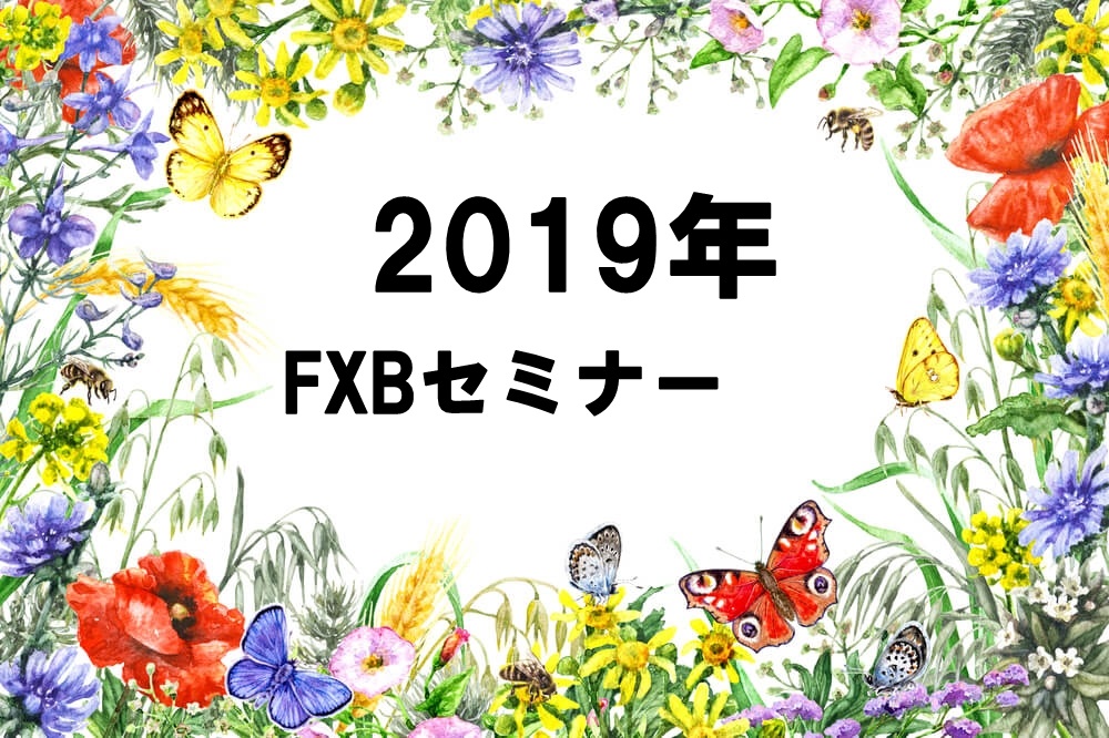 ２０１９年後半　FXBセミナー 　12